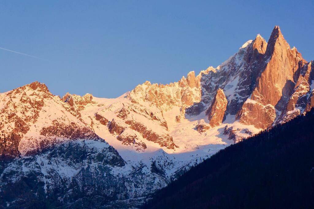 Modern 2Br 5* Pool Gym Spa Garage Mont-Blanc View Chamonix Mont Blanc Exterior foto