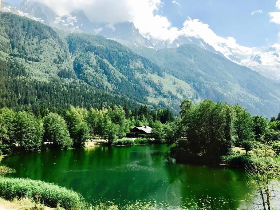 Modern 2Br 5* Pool Gym Spa Garage Mont-Blanc View Chamonix Mont Blanc Exterior foto